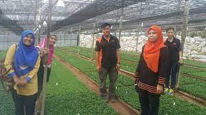 Kolej vokasional (kv) | tak ada masa depannn??? Visitation By Kolej Vokasional Teluk Intan Wengfong Nurseries Sdn Bhd