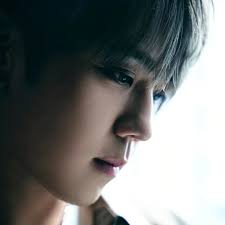 🔥見大家對麥當勞50週年音樂會反應咁踴躍🔥 決定破格開放許願池！收集大家想聽嘅歌話畀公司知！ 放膽啲，即管許願❗️  頭盔：到時音樂會冇唱到唔好鬧我，麥仔唔擔保㗎🪖🪖🪖 👇👇👇👇