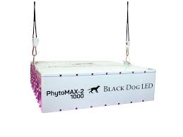 We did not find results for: Phytomax 2 1000 Led Grow Lights Ledgrowshop