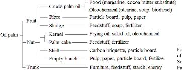 Our products are derived from tallow and vegetable feedstocks. Environmental Consequences Of The Palm Oil Industry In Malaysia Semantic Scholar