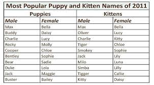 Why this site is so helpful is that it will help you investigate and find your options, sort out your thoughts, and help you choose one name for your boy, or boys, that is the perfect one. Most Popular Puppy And Kitten Names Of 2011
