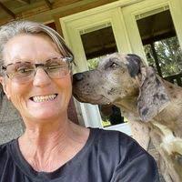 Henderson Harley-Davidson