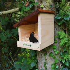 Image result for Flyte Blackbird Nest Box