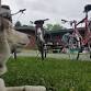 Bike Festival Show and Swap Meet