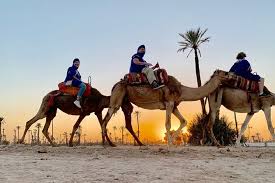Enjoy a glass of wine and the sounds of the desert from the comfort of a warm bubble bath. Sunset Camel Ride In The Palm Grove Of Marrakech Provided By Attractive Tours Marrakech Safi Tripadvisor
