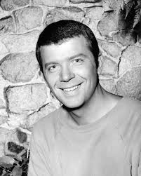 Robert Reed The Brady Bunch Posters and Photos 194986