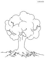 Free trees coloring page to download. Trees Coloring Pages Free Printable Tree Coloring Sheets