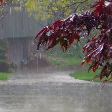 Punjab: Light rain lashes parts of Amritsar - ChiniMandi