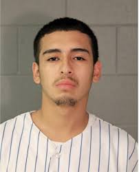 ᐅ Illinois Criminal Records 2009-2025