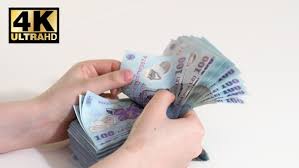 Curs valutar actual dolari în lei moldovenești pentru astăzi în moldova (chișinău). Woman Counting Cash Romanian Currency Lei Ron By Studiolivemotion Videohive