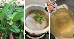 Ubat cuci usus berkesan selepas 6 jam via liyanasonestop.blogspot.com. Petua Mujarab Rawat Sakit Gout Mudah Je Caranya 2 Hari Minum Dah Nampak Kesan Pada Suami Keluarga