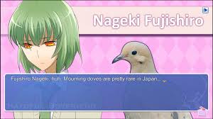 Hatoful Boyfriend Review - Hey Poor Player