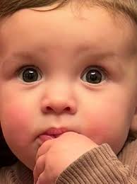 Cookin' Cuttin' Up and Ceepin' it Real