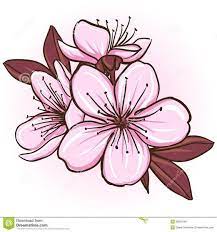Pin By Enza Colasanti On Flowers Design Cherry Blossom Vector Blossom Tattoo Flower Drawing