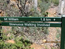 Sota Peak, Mt William, VK3 VS 001, Grampians National Park, 3rd January  2014, VKFF