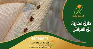طرق محاربة بق الفراش