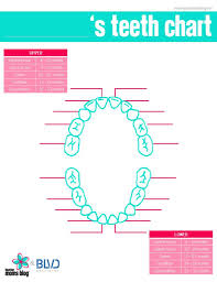 childrens teeth timeline teething tips for care