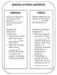 Animal Adaptations Interactive Notebook Animal Adaptations Adaptations Interactive Notes