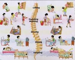 Pin On Physiotherapy Exercises For Lower Back Pain
