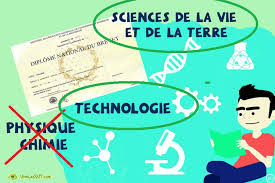 Après le bac, place au brevet des collèges : Epreuve De Svt Au Dnb 2021 Brevet Des Colleges 2021 Vive Les Svt Les Sciences De La Vie Et De La Terre Au College Et Au Lycee Cours De Svt En Ligne