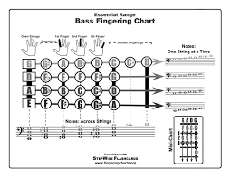 String Electric Bass Fingering Chart And Flashcards