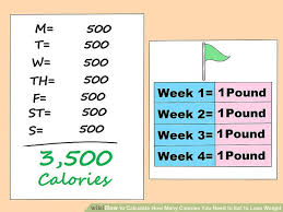 How To Calculate How Many Calories You Need To Eat To Lose
