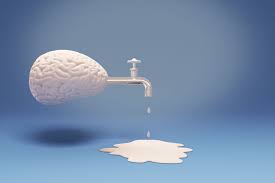 My Runny Nose Turned Out To Be A Brain Leak Spinal Fluid What Is Brain Cerebrospinal Fluid