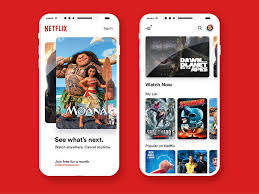 Netflix Iphone X Netflix Netflix Sign In Tv App