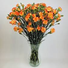 Blumenstrauß Spraynelken | Blumenversand Edelweiß