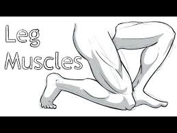 How To Draw Leg Anatomy Youtube Collection by someone else • last updated 4 weeks ago. how to draw leg anatomy