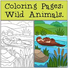 Otterng pages on rock coorng page uncategorized best for kids printable fantasy baby river scaled. Coloring Pages Wild Animals Mother Otter With Her Cute Baby Buy This Stock Vector And Explore Similar Vectors At Adobe Stock Adobe Stock