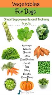 Vegetables For Dogs 20 Nutritious Treats For Your Dog