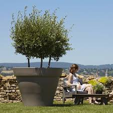 Top 10 des arbres en pots à cultiver sans difficulté et modération de arbre en pot exterieur image. Pot De Tres Grande Taille En Plastique Rotomoule Ideal Pour Planter Des Arbres Et Arbustes Sur Une Terrass Grands Pots De Fleurs Arbres En Pots Olivier En Pot