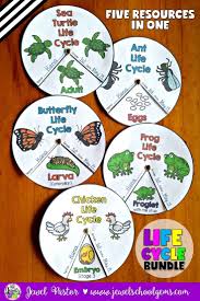 Pin On Science Pinterest Project