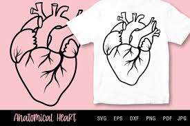 Download Anatomical Heart Svg Valentine S Day Or Love 1106930 Cut Files Design Bundles
