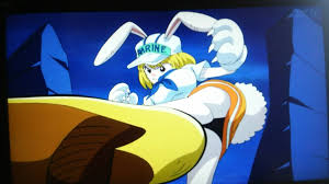 さかっき～たそ 名古屋の人 on X: ワンピースのキャロットといううさぎ娘がエロかわいくて萌え～🐰💓💕💓  まだエロスに興味なさそうに見えて黒ぱんつ着用というギャップにハァハァ(笑)💓💕💓  そのしっぽはどうやって黒ぱんつから出してるんだよお！(笑)(*ﾟ∀ﾟ)=3 もし ...