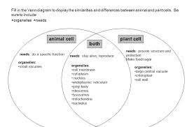 Cells blank plant & animal cell diagrams: All About Rare Plant Uncommon Plant Unique Plant And Others Plants And Animals Cells Parts And Functions