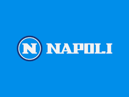 Napoli assemblée de christ logo. Napoli Designs Themes Templates And Downloadable Graphic Elements On Dribbble