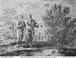 It is like a mustard seed that someone took and sowed in the garden; Parable Of The Mustard Seed Wikipedia