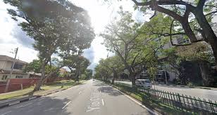 Golden Retriever Hit By Car On Yio Chu Kang Road Owner Appealing For Witnesses Donations Laptrinhx News
