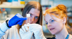 2025 Year in Pictures