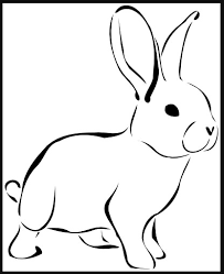 Gambar kelinci hitam putih untuk latihan mewarnai mudah bagi anak tk atau sd. 60 Sketsa Hewan Sederhana Yang Mudah Di Gambar Pelajarindo Com