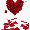 Un mazzo di rose rosse è particolarmente indicato per una dichiarazione, un rosa bianca: 1