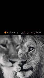 pin by lean 4 m on lion اسد cute baby boy outfits cute baby boy photo ideas girl