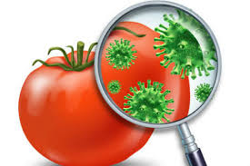 Ngăn chặn các vụ ngộ độc thực phẩm trong dịp hè