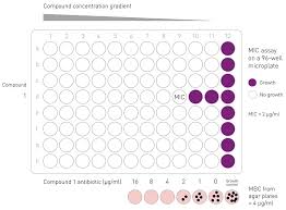 Image result for Antimicrobial Agent