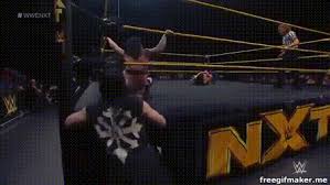 images?q=tbn:ANd9GcRzei55BeQlDtMV76vMg5u