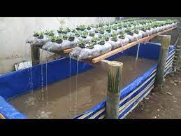 Pin On Aquaponics