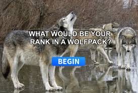 Pin On Quiz For Fun
