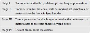 We did not find results for: Radiological Findings In A Case Of Advance Staged Mesothelioma Aziz Journal Of Thoracic Disease